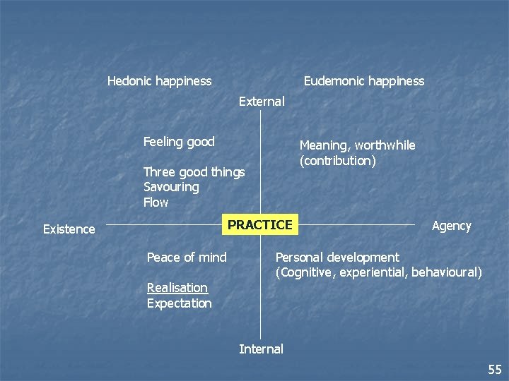 Eudemonic happiness Hedonic happiness External Feeling good Meaning, worthwhile (contribution) Three good things Savouring