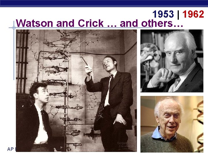 1953 | 1962 Watson and Crick … and others… AP Biology 