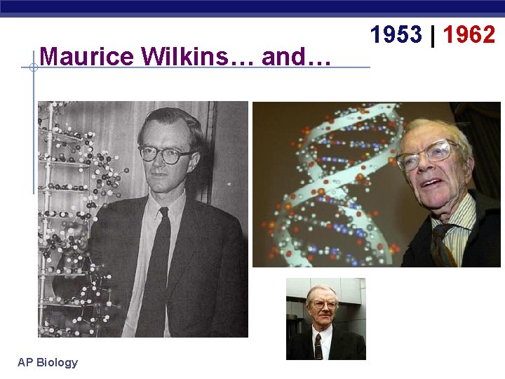 Maurice Wilkins… and… AP Biology 1953 | 1962 