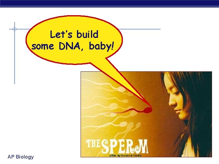 Let’s build some DNA, baby! AP Biology 