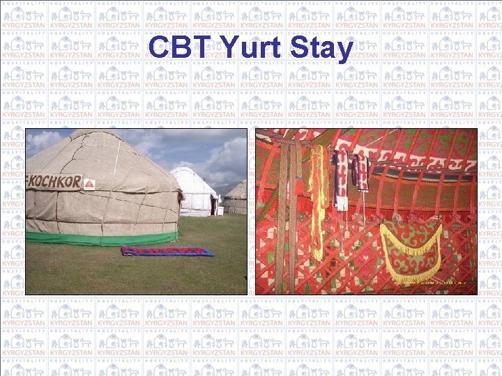 CBT Yurt Stay 