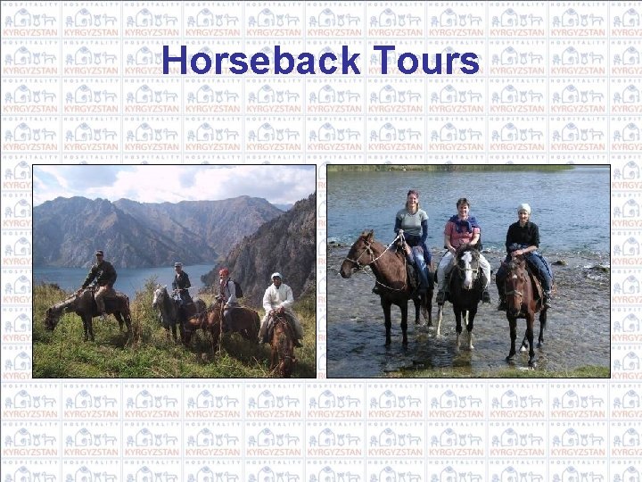 Horseback Tours 