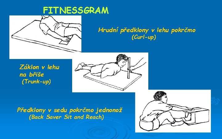 FITNESSGRAM Hrudní předklony v lehu pokrčmo (Curl-up) Záklon v lehu na břiše (Trunk-up) Předklony