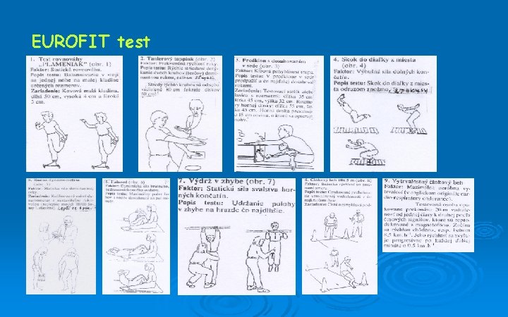 EUROFIT test 