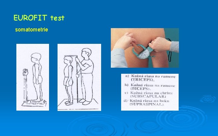 EUROFIT test somatometrie 