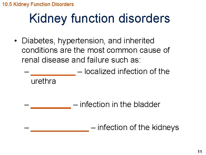 10. 5 Kidney Function Disorders Kidney function disorders • Diabetes, hypertension, and inherited conditions