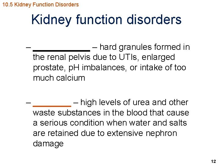 10. 5 Kidney Function Disorders Kidney function disorders – ______ – hard granules formed