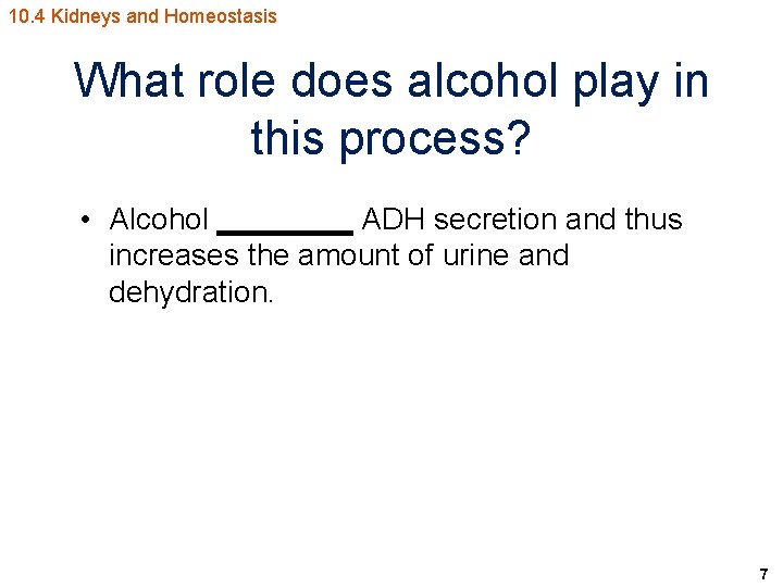 10. 4 Kidneys and Homeostasis What role does alcohol play in this process? •