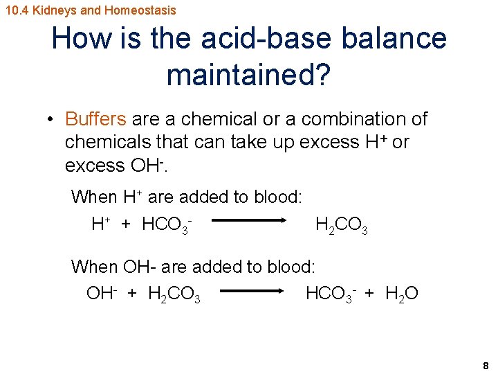 10. 4 Kidneys and Homeostasis How is the acid-base balance maintained? • Buffers are