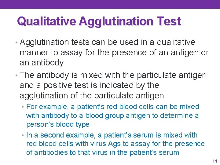 Qualitative Agglutination Test • Agglutination tests can be used in a qualitative manner to Qualitative Agglutination Test • Agglutination tests can be used in a qualitative manner to