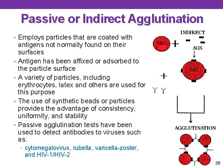 Passive or Indirect Agglutination • Employs particles that are coated with • • antigens Passive or Indirect Agglutination • Employs particles that are coated with • • antigens