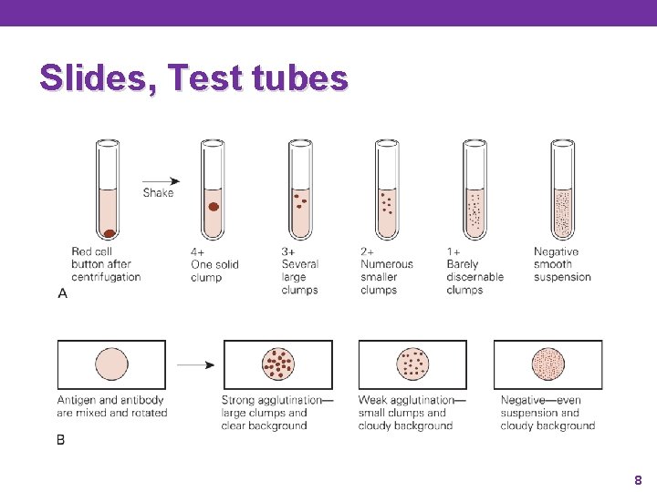 Slides, Test tubes 8 Slides, Test tubes 8