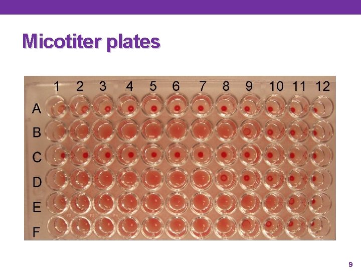 Micotiter plates 9 Micotiter plates 9