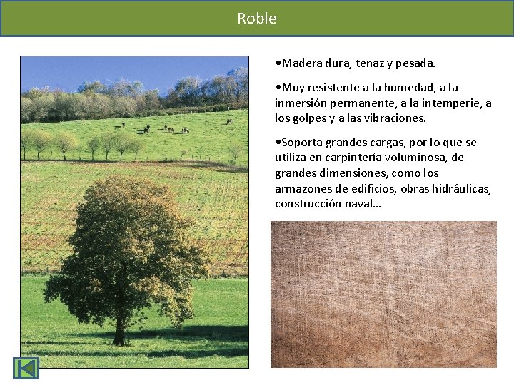 Roble • Madera dura, tenaz y pesada. • Muy resistente a la humedad, a