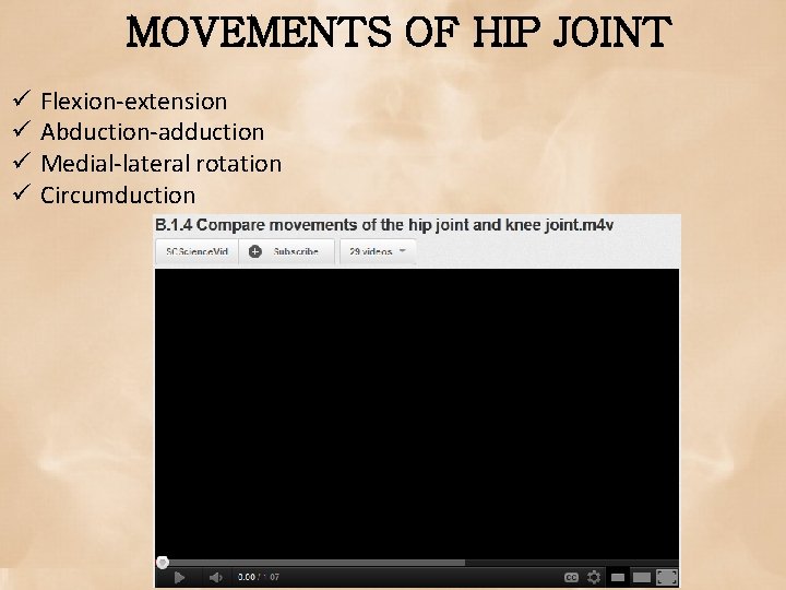 MOVEMENTS OF HIP JOINT ü ü Flexion-extension Abduction-adduction Medial-lateral rotation Circumduction 