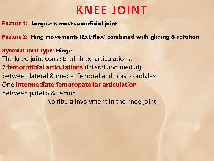 KNEE JOINT Feature 1: Largest & most superficial joint Feature 2: Hing movements (Ext/Flex)