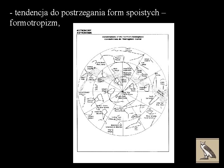 - tendencja do postrzegania form spoistych – formotropizm, 