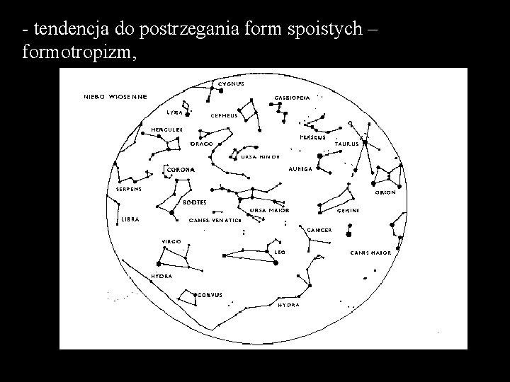 - tendencja do postrzegania form spoistych – formotropizm, 