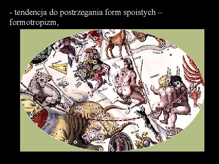 - tendencja do postrzegania form spoistych – formotropizm, 