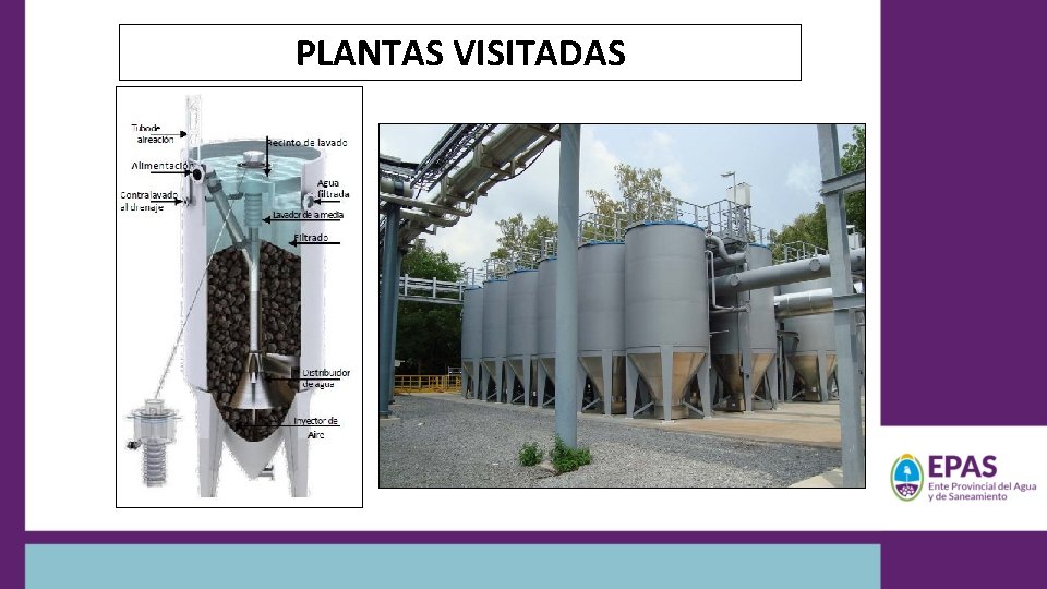 PLANTAS VISITADAS 