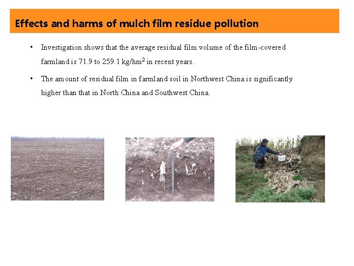 Effects and harms of mulch film residue pollution • Investigation shows that the average
