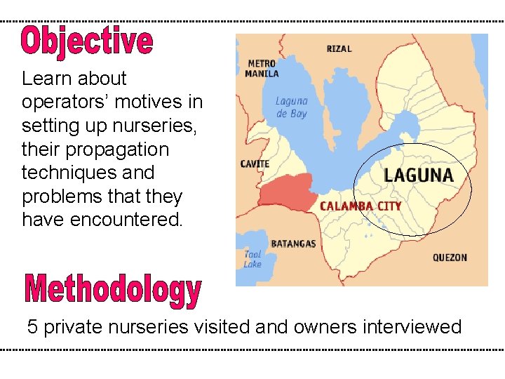 Learn about operators’ motives in setting up nurseries, their propagation techniques and problems that