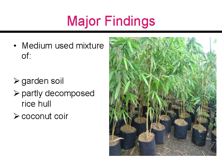 Major Findings • Medium used mixture of: Ø garden soil Ø partly decomposed rice