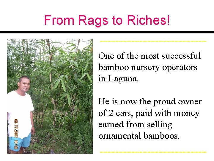 From Rags to Riches! One of the most successful bamboo nursery operators in Laguna.