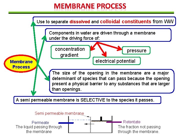 Use to separate dissolved and colloidal constituents from WW Components in water are driven