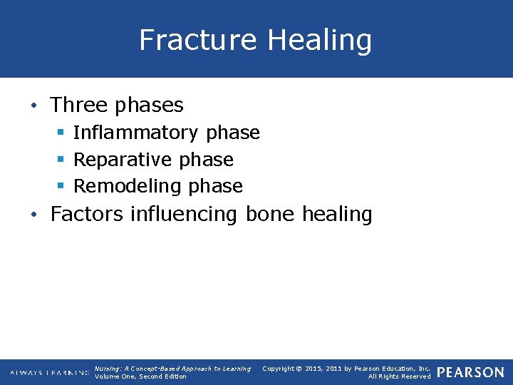 Fracture Healing • Three phases § Inflammatory phase § Reparative phase § Remodeling phase