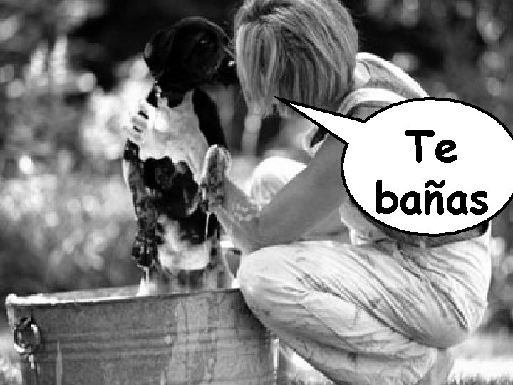 Te bañas 