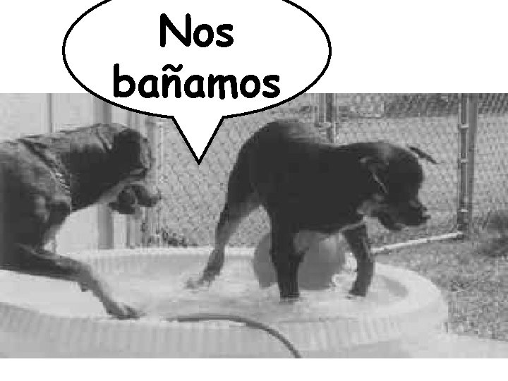 Nos bañamos 