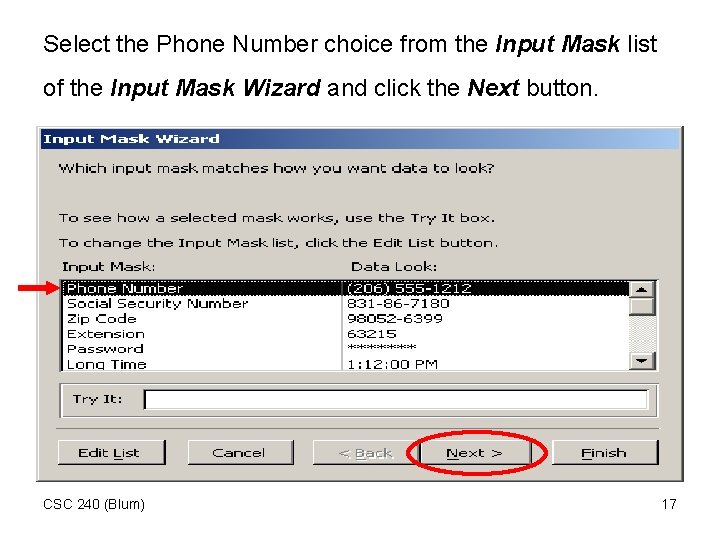 Select the Phone Number choice from the Input Mask list of the Input Mask