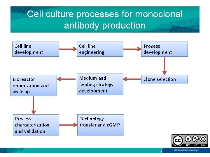 Cell culture processes for monoclonal antibody production Cell line development Bioreactor optimization and scale