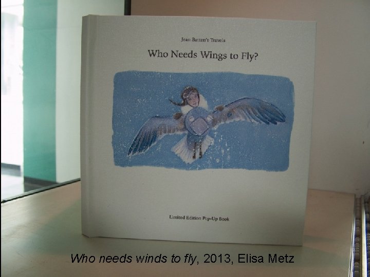 Who needs winds to fly, 2013, Elisa Metz 