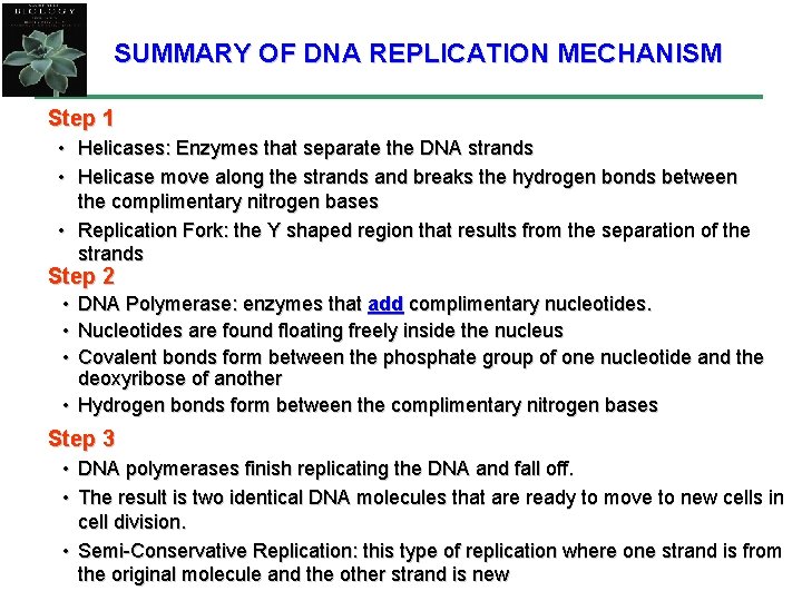 SUMMARY OF DNA REPLICATION MECHANISM Step 1 • Helicases: Enzymes that separate the DNA