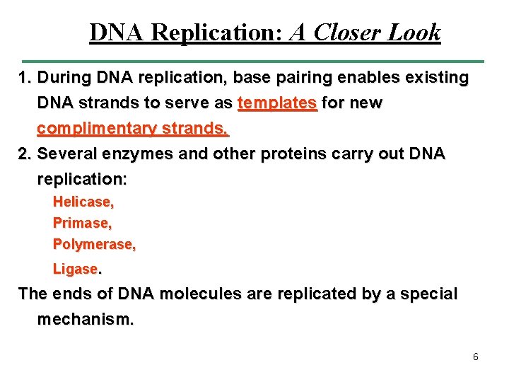 DNA Replication: A Closer Look 1. During DNA replication, base pairing enables existing DNA