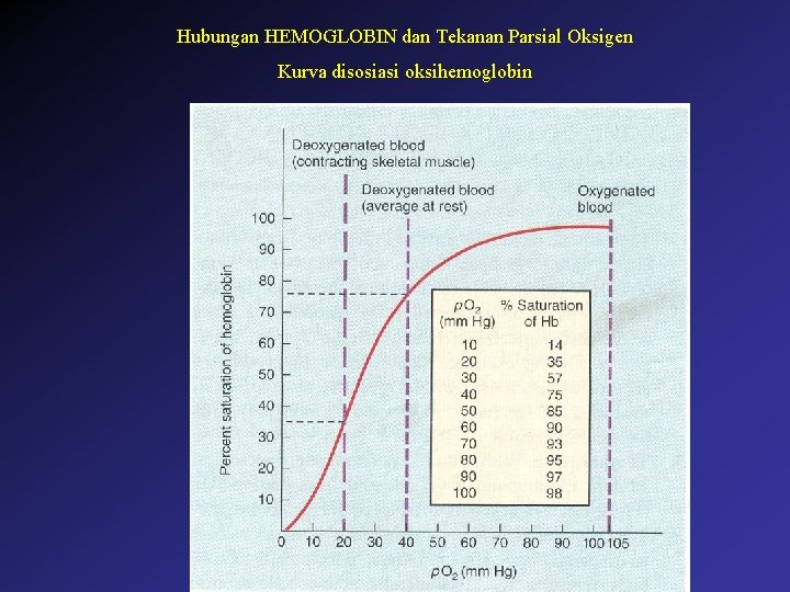 Hubungan HEMOGLOBIN dan Tekanan Parsial Oksigen Kurva disosiasi oksihemoglobin 