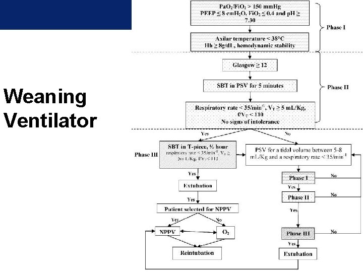Weaning Ventilator 