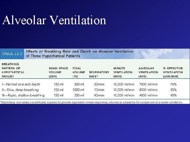 Alveolar Ventilation 