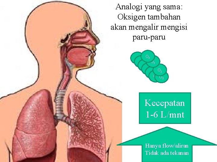 Analogi yang sama: Oksigen tambahan akan mengalir mengisi paru-paru O 2 O 2 O