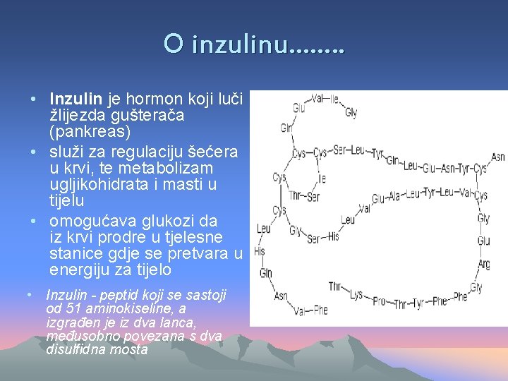 O inzulinu……. . • Inzulin je hormon koji luči žlijezda gušterača (pankreas) • služi