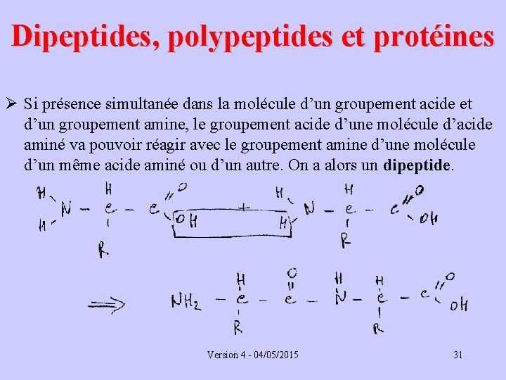 Dipeptides, polypeptides et protéines Ø Si présence simultanée dans la molécule d’un groupement acide