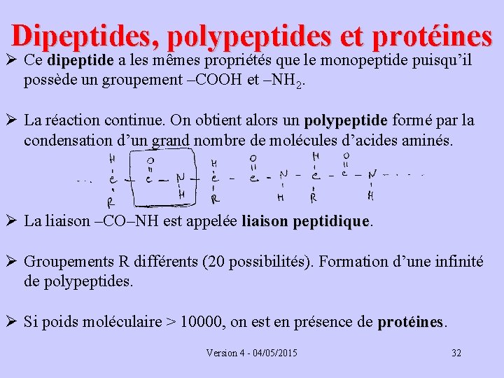 Dipeptides, polypeptides et protéines Ø Ce dipeptide a les mêmes propriétés que le monopeptide