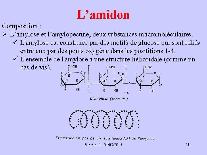 L’amidon Composition : Ø L’amylose et l’amylopectine, deux substances macromoléculaires. ü L'amylose est constituée