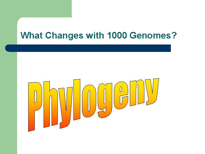 What Changes with 1000 Genomes? 