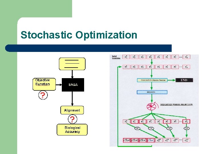Stochastic Optimization 