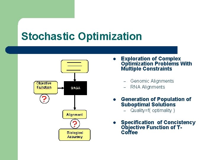 Stochastic Optimization l Exploration of Complex Optimization Problems With Multiple Constraints – – l