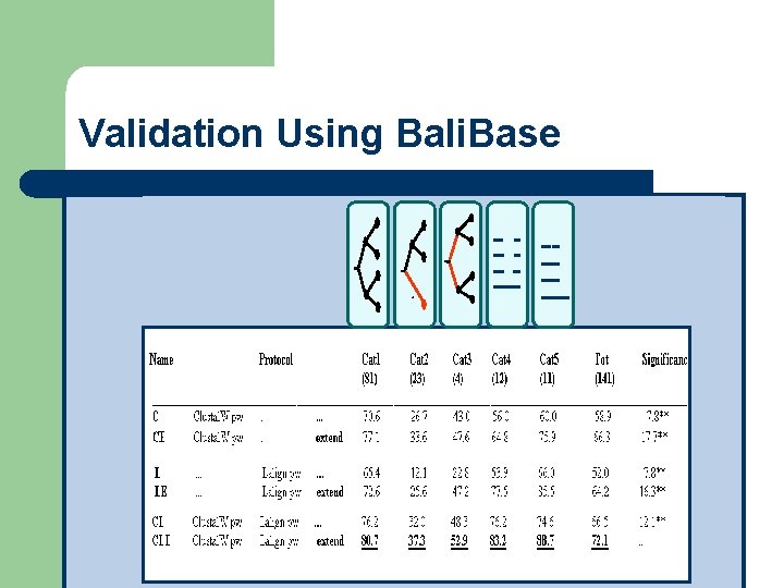 Validation Using Bali. Base T-Coffee Results 