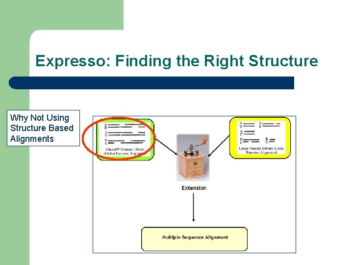 Expresso: Finding the Right Structure Why Not Using Structure Based Alignments 